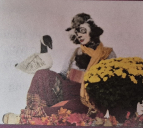 Plume la bernache a perdu sa boussole!